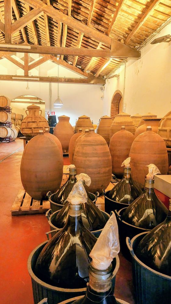 Ánforas de barro y damajuanas de vino en una bodega del Penedès